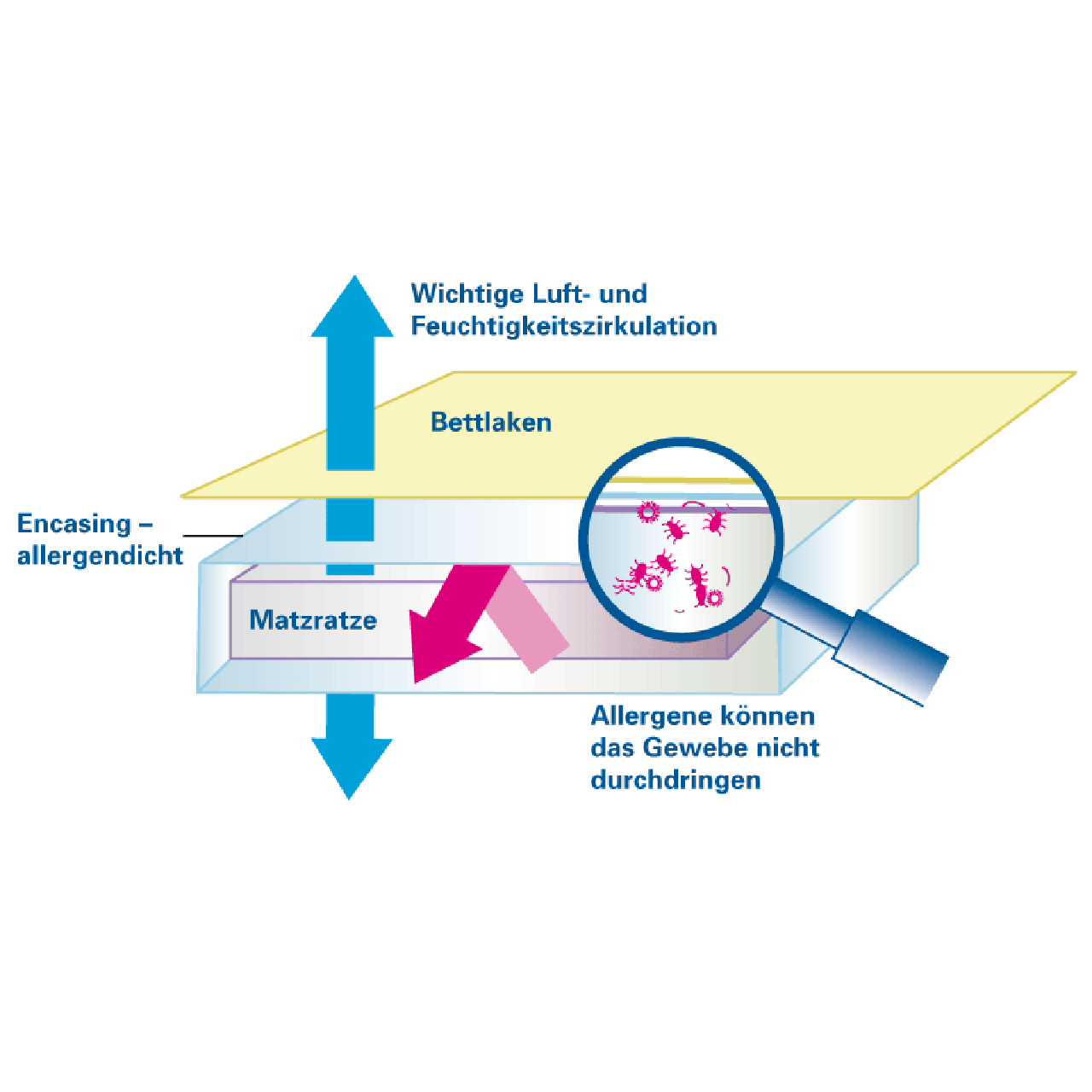 Softsan® Encasing für Matratzen aus Bio Baumwolle | Schutzbezug für Allergiker