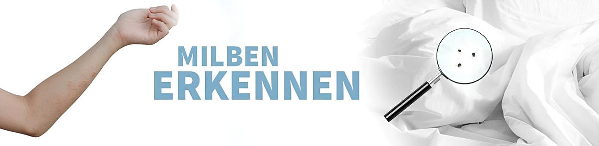 Milben erkennen: Wenn Mensch & Bett befallen sind – Softsan